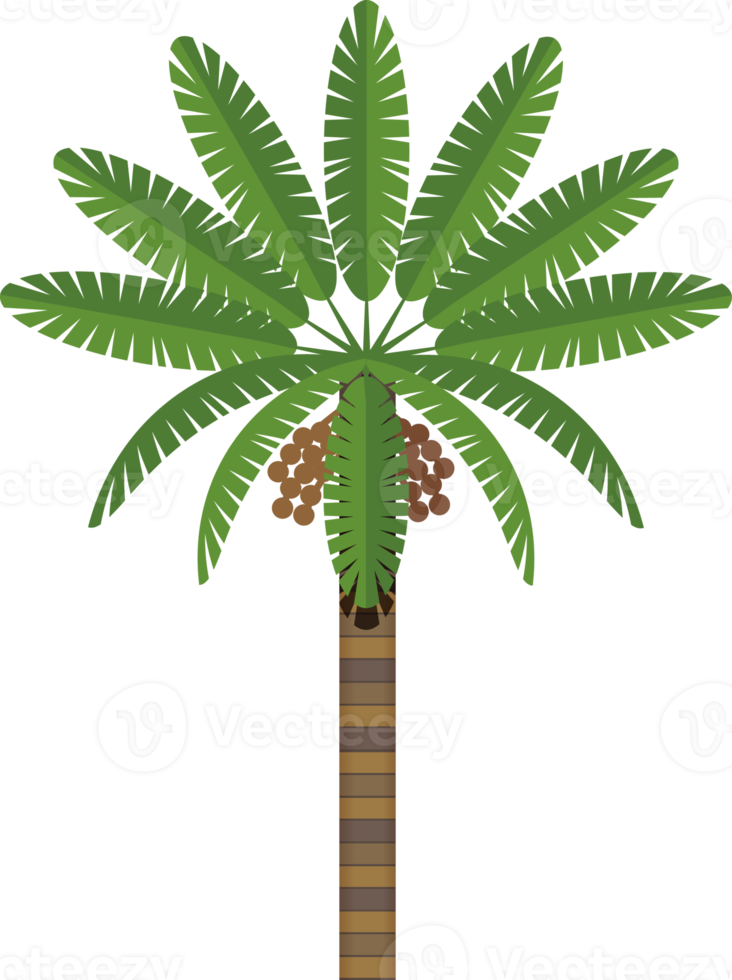 uae famous palm tree png