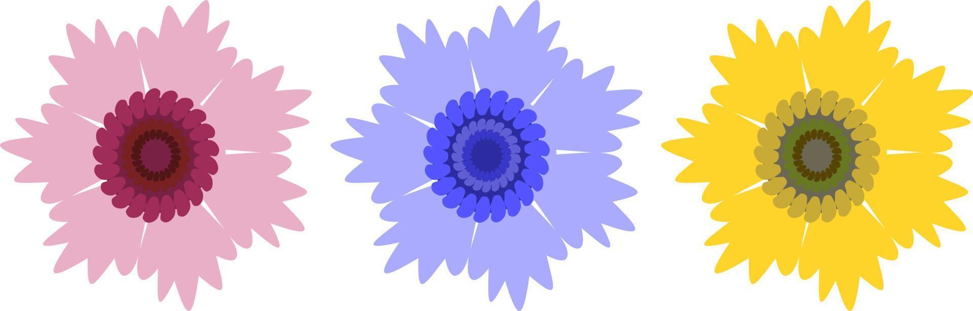 rosa, amarillo, azul, púrpura, flores, conjunto, vector