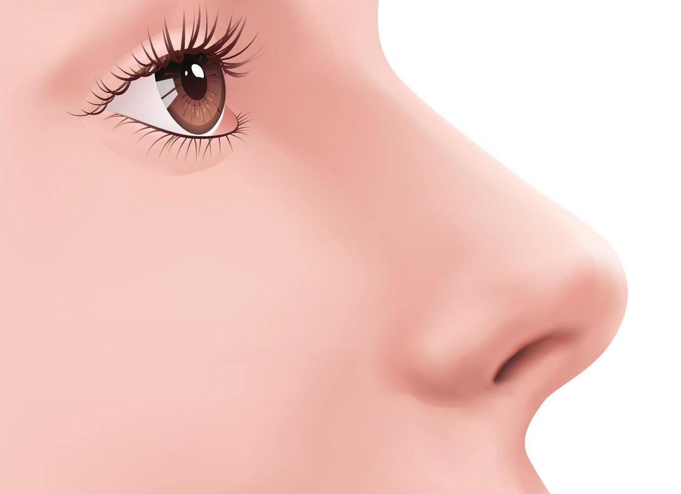 vista de perfil nariz humana y ojo marrón con pestañas en la cara ilustración realista para medicina, maquillaje. aislado sobre fondo blanco. protección de la piel. ejemplo de rinoplastia parte del cuerpo para la biología. vector