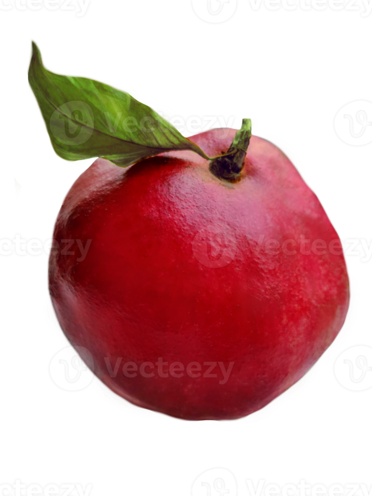 ripe pomegranate with leaves png