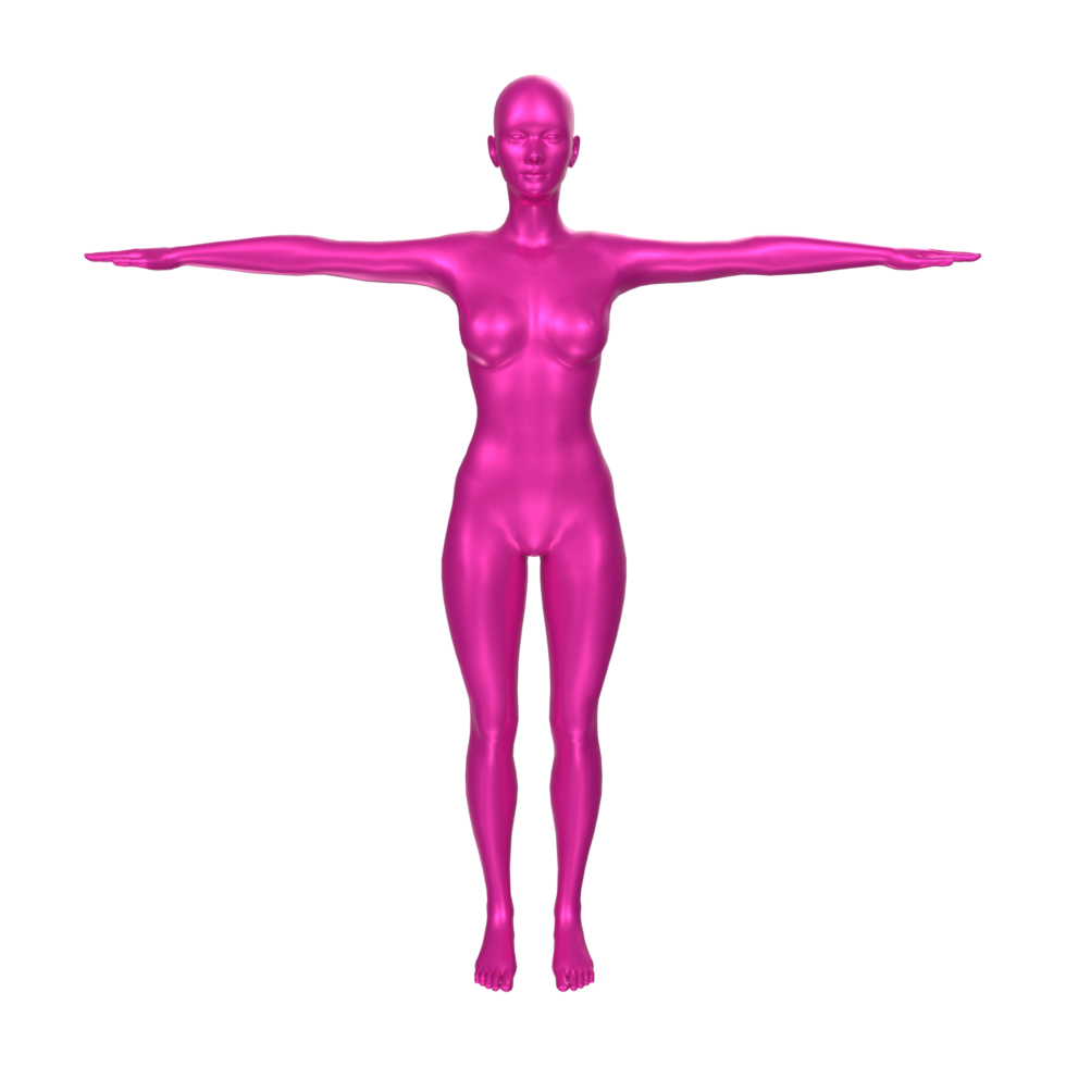 Female Basemesh isolated on transparent png