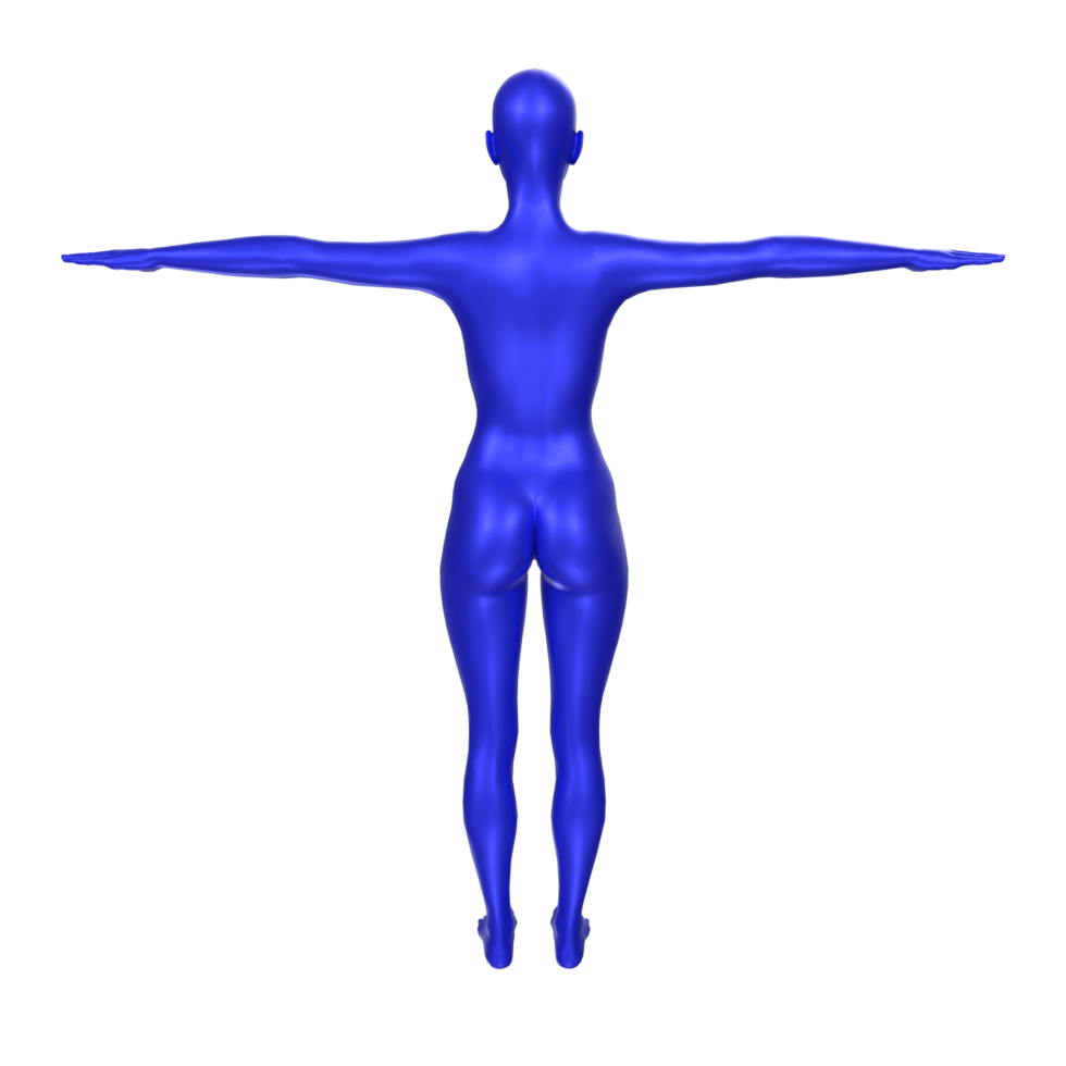 Female Basemesh isolated on transparent png