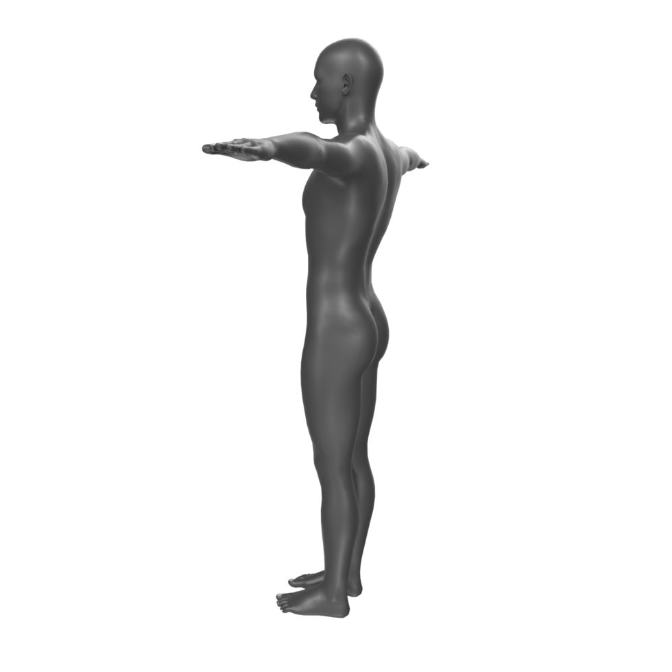 body anatomy isolated on background png