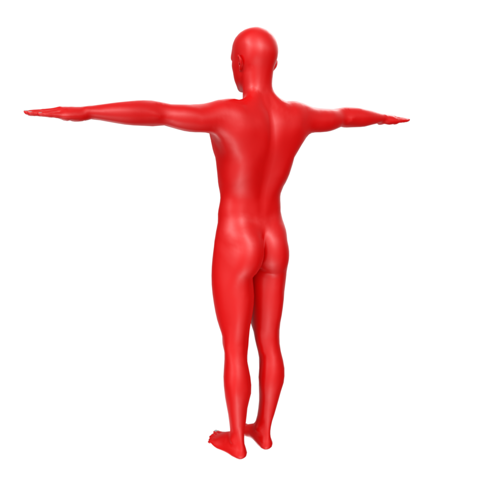 body anatomy isolated on background png
