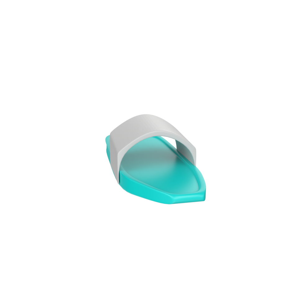 Slipper isolated on transparent background png
