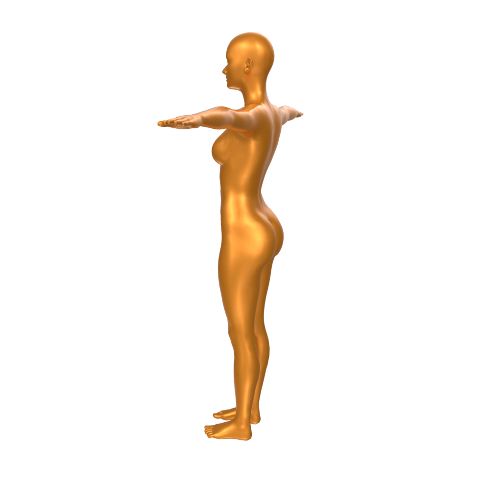 Female Basemesh isolated on transparent png