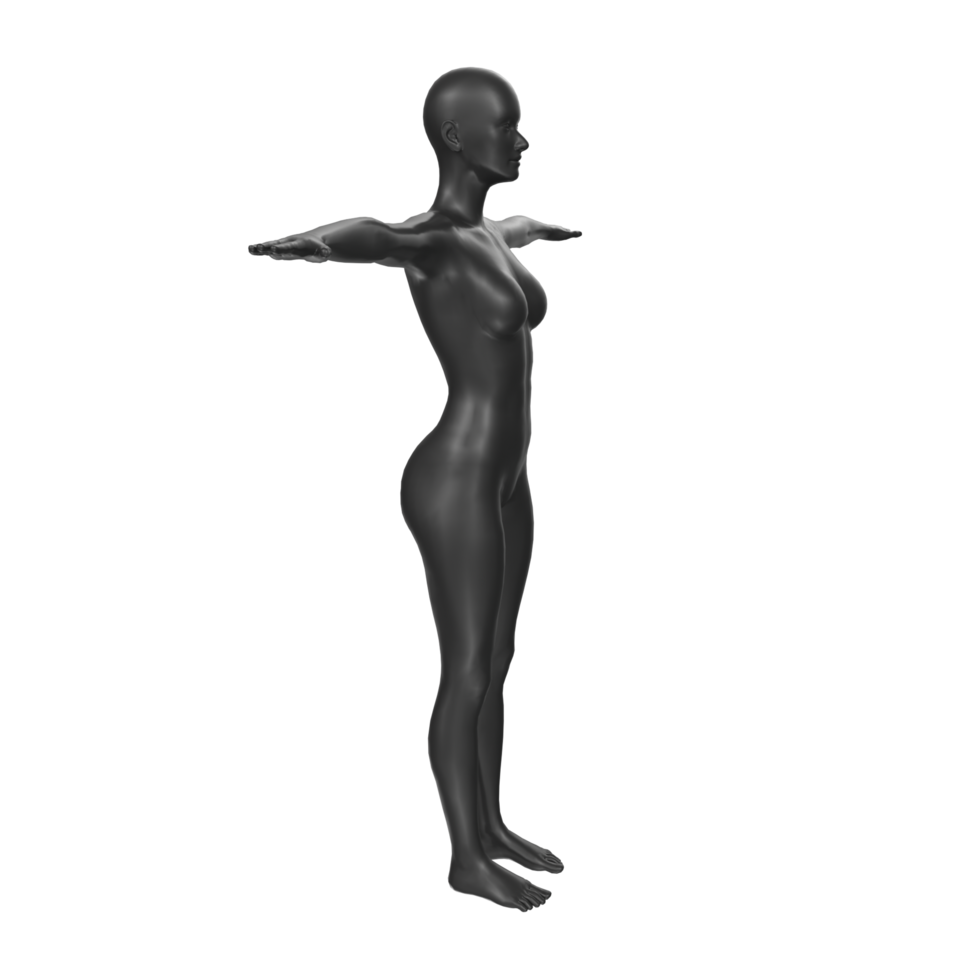 Female Basemesh isolated on transparent png