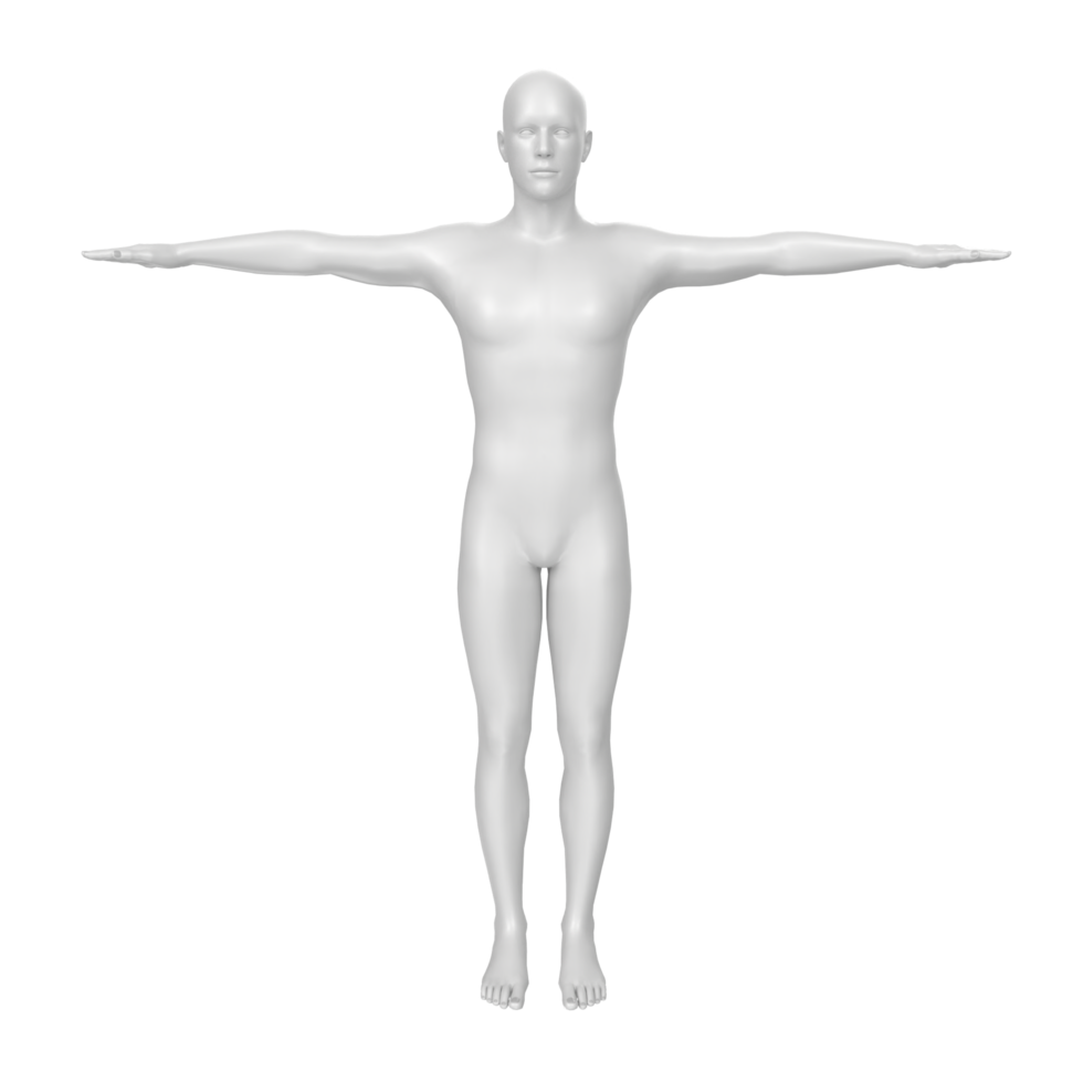 lichaam anatomie geïsoleerd Aan achtergrond png