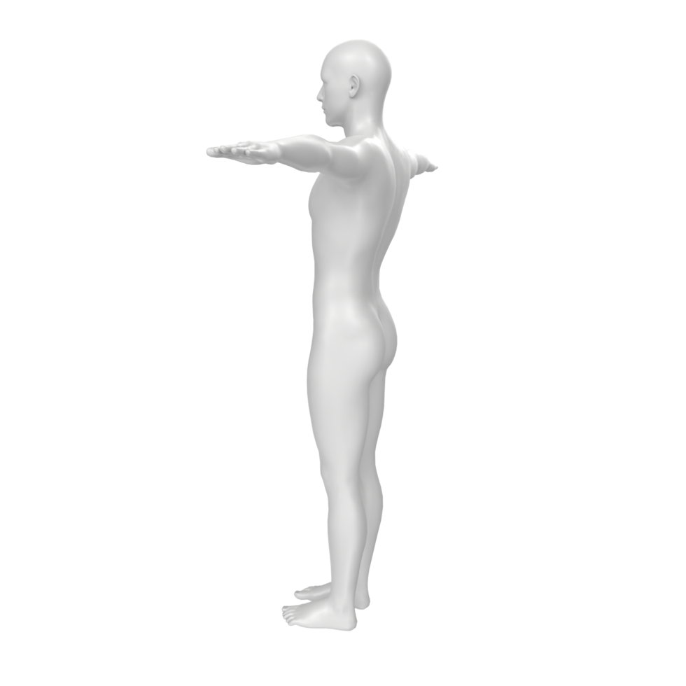 body anatomy isolated on background png