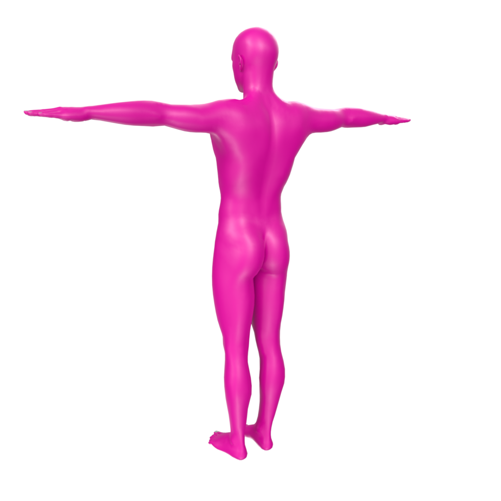 body anatomy isolated on background png