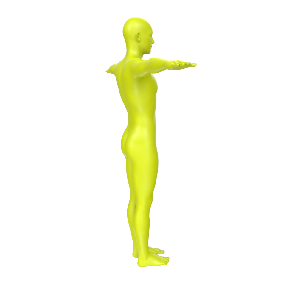 body anatomy isolated on background png