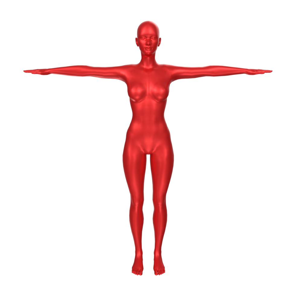 Female Basemesh isolated on transparent png