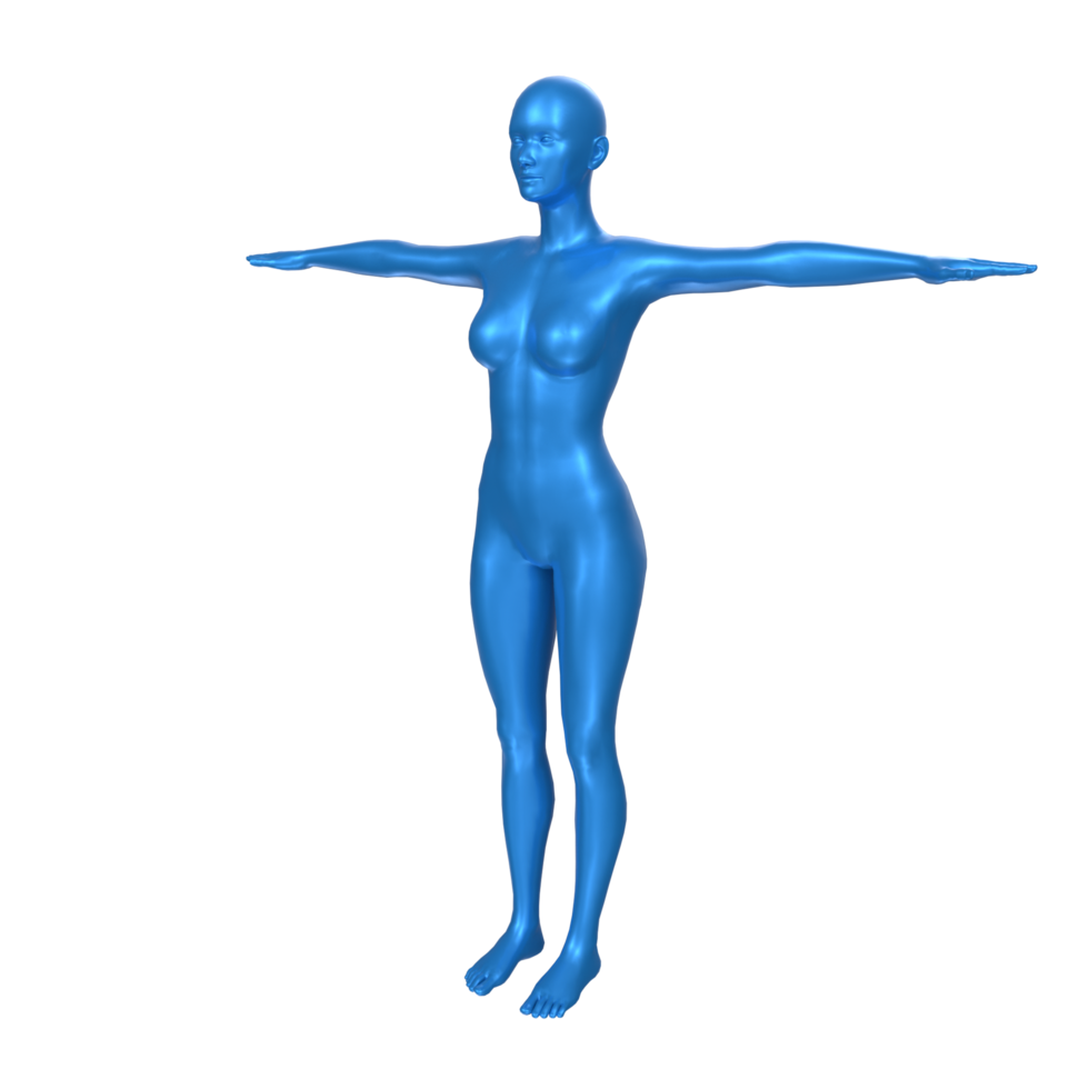 Female Basemesh isolated on transparent png