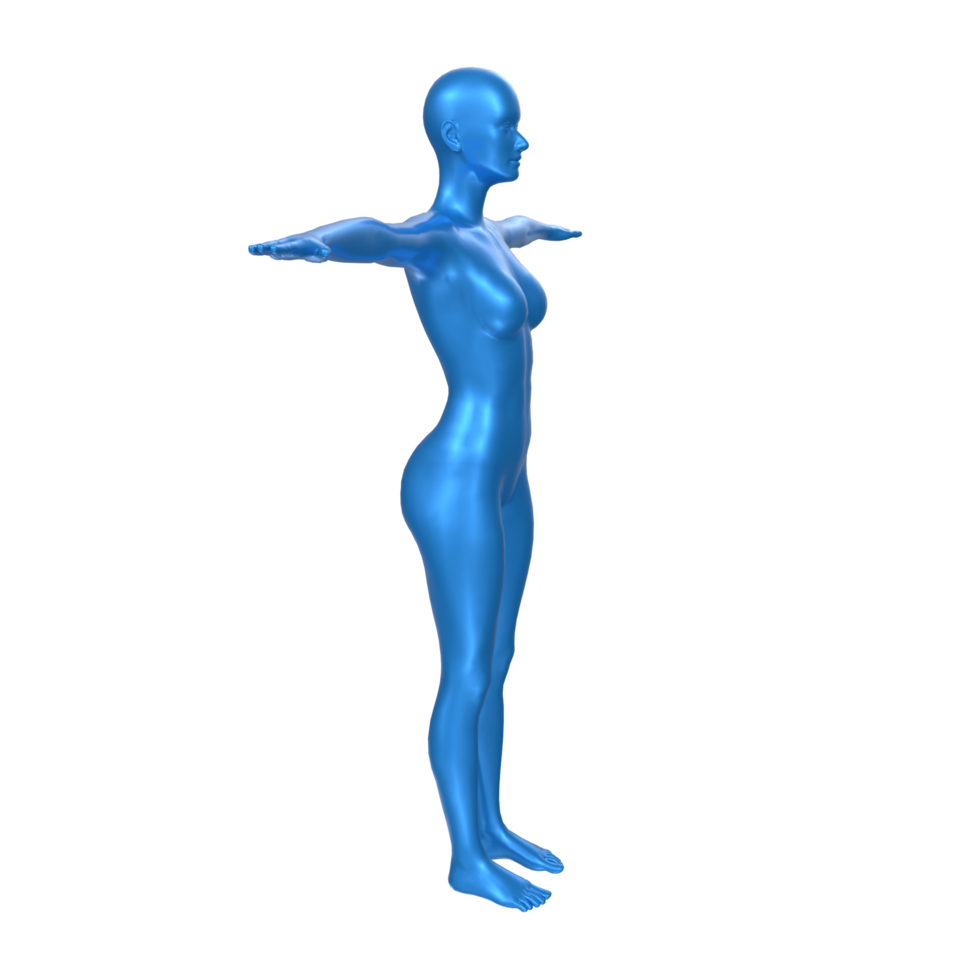 Female Basemesh isolated on transparent png