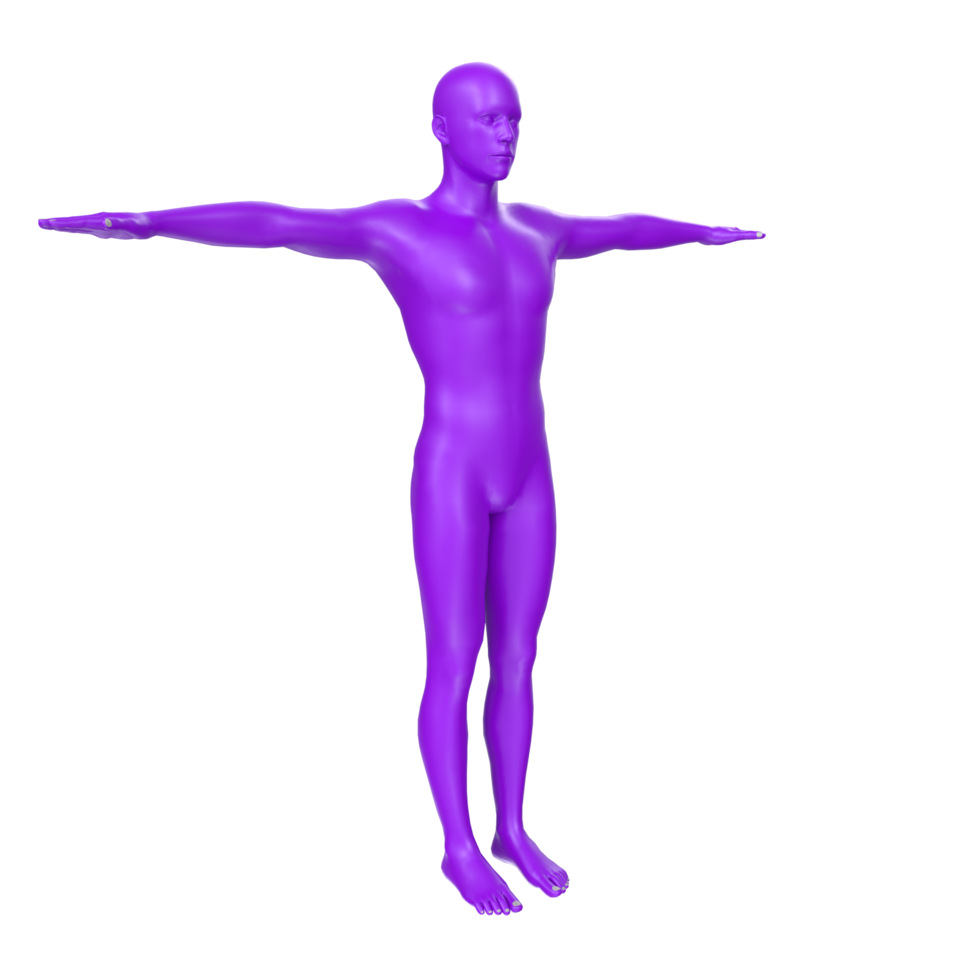 anatomia do corpo isolada no fundo png