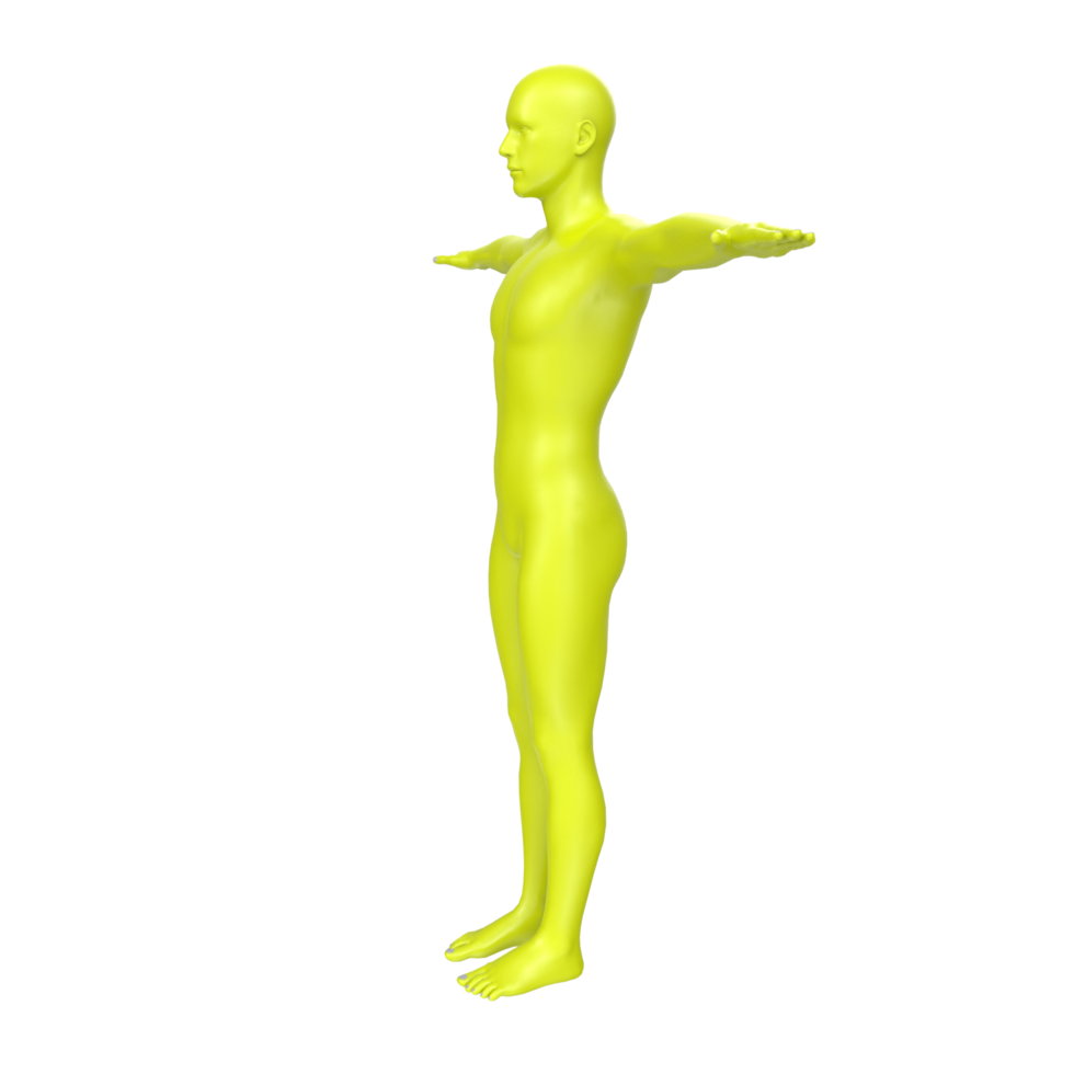 body anatomy isolated on background png