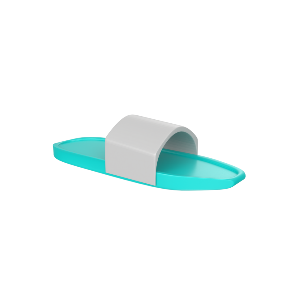 Slipper isolated on transparent background png