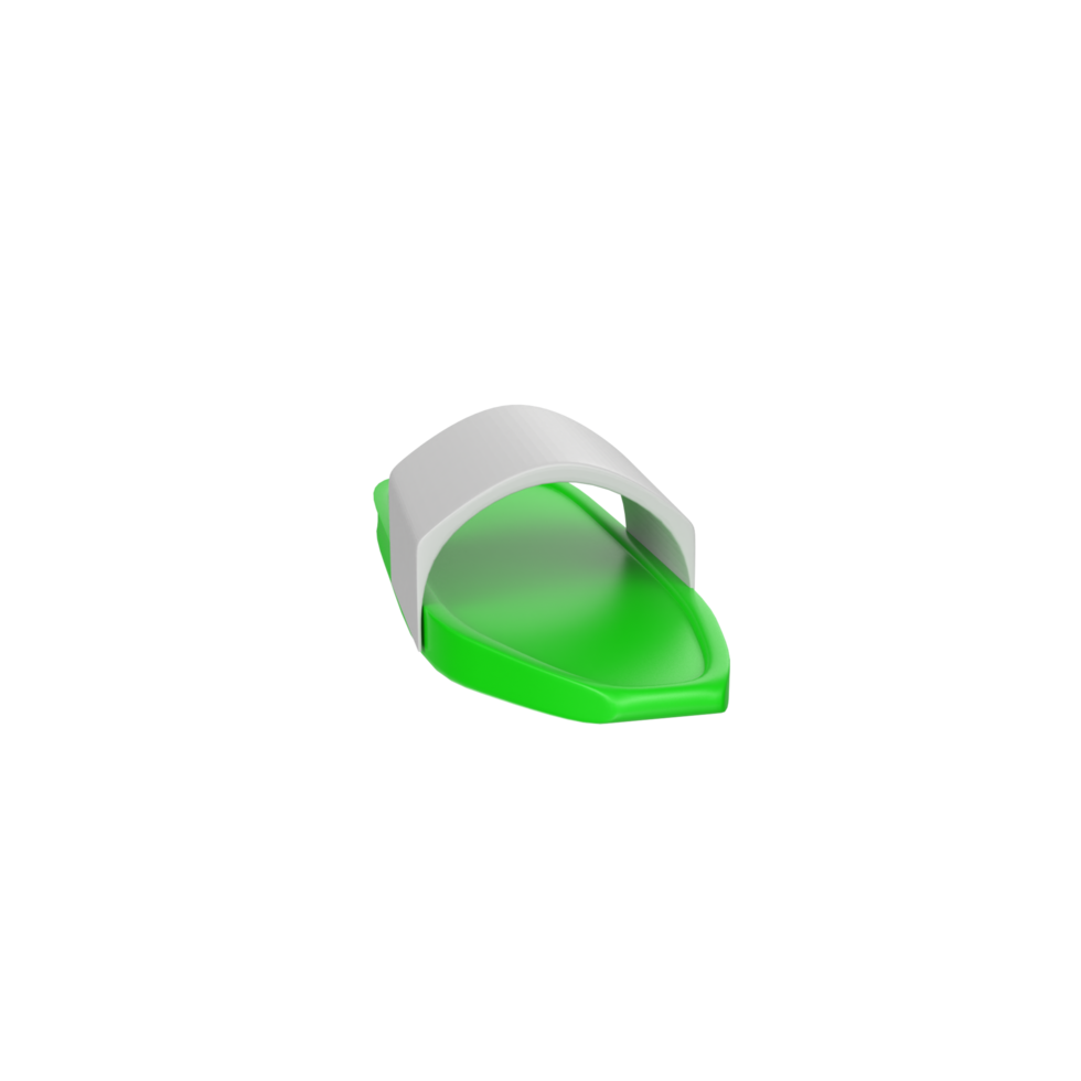 Slipper isolated on transparent background png