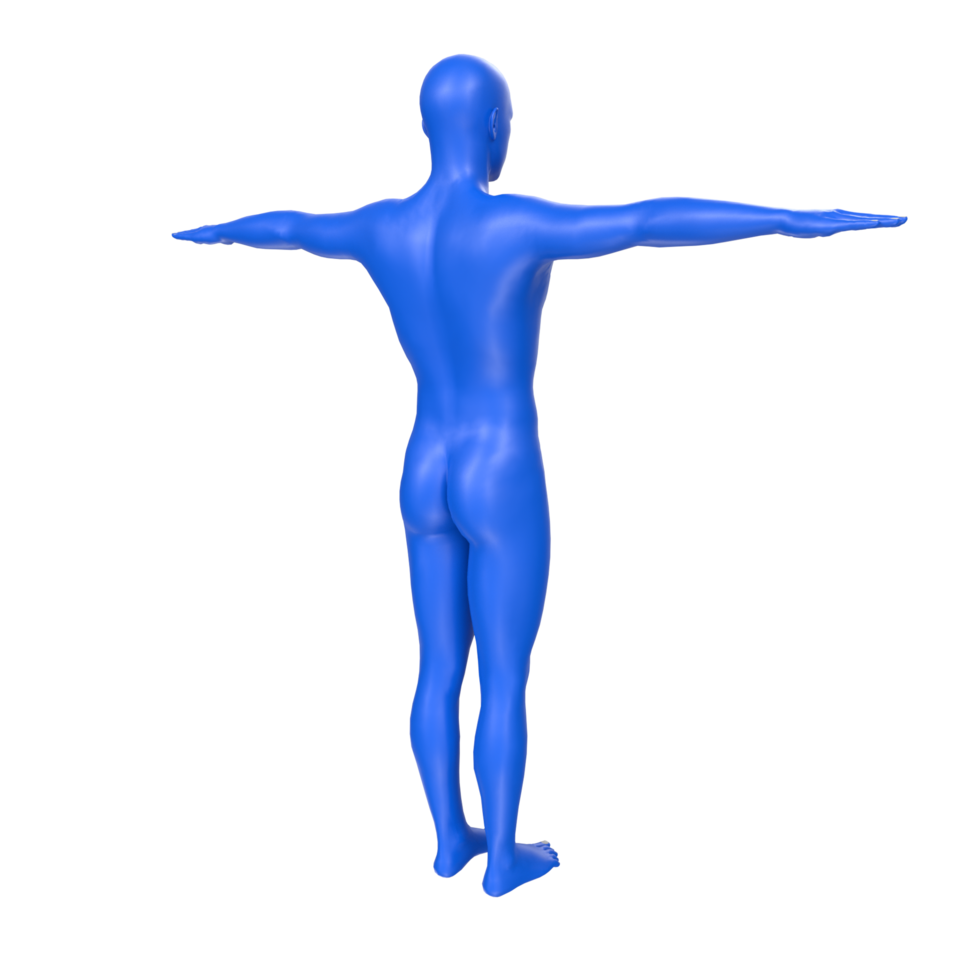 body anatomy isolated on background png