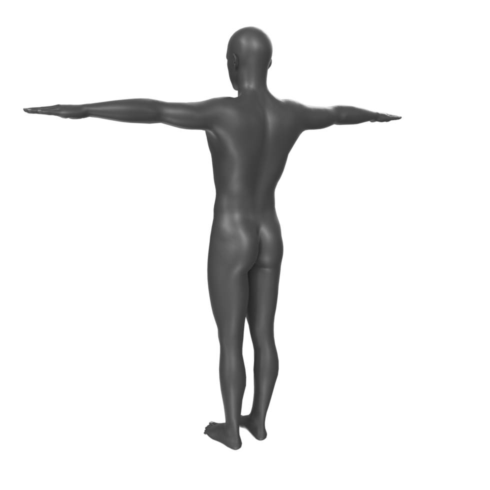 body anatomy isolated on background png