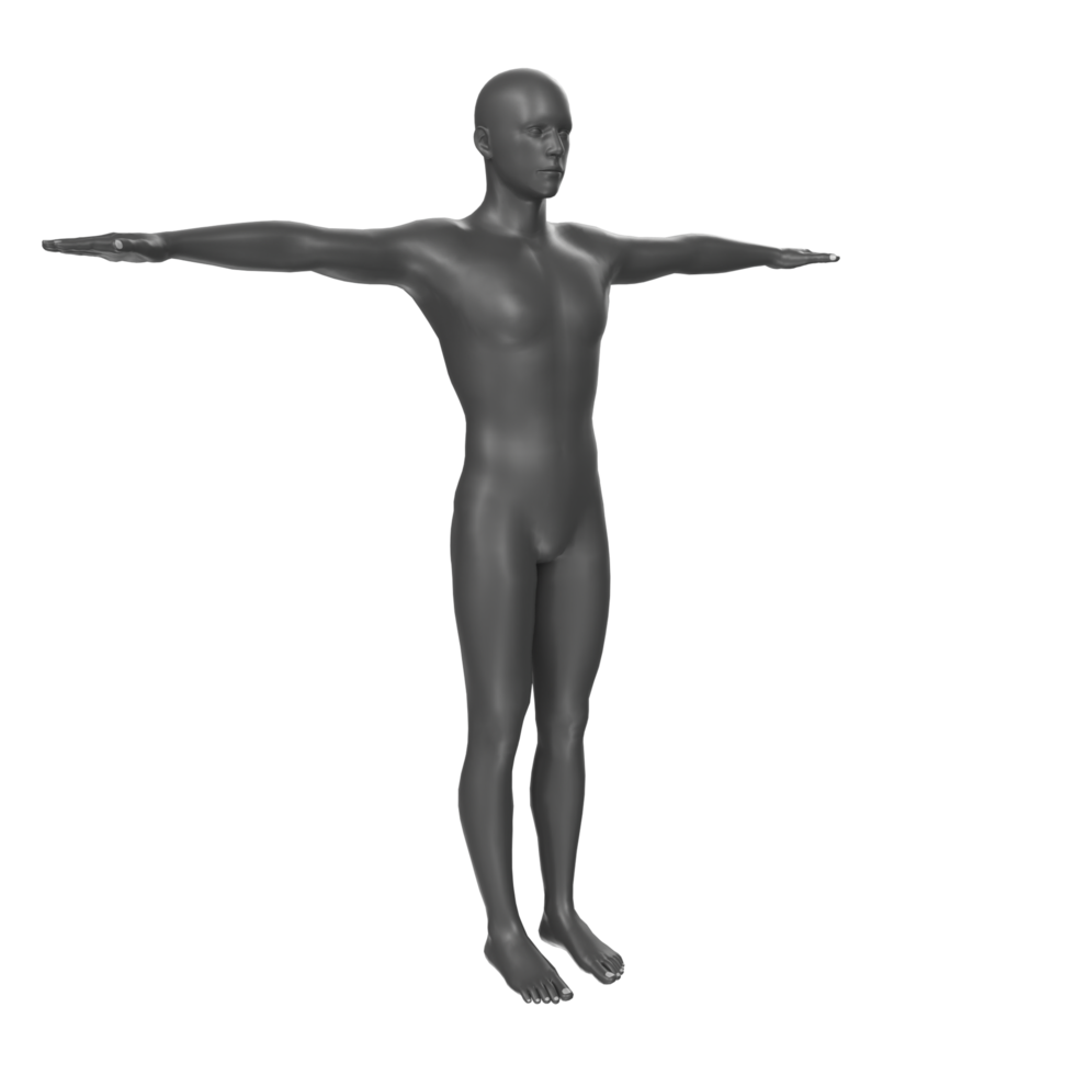 body anatomy isolated on background png