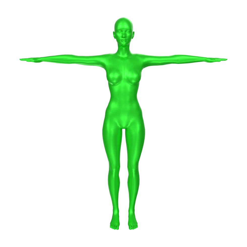 Female Basemesh isolated on transparent png