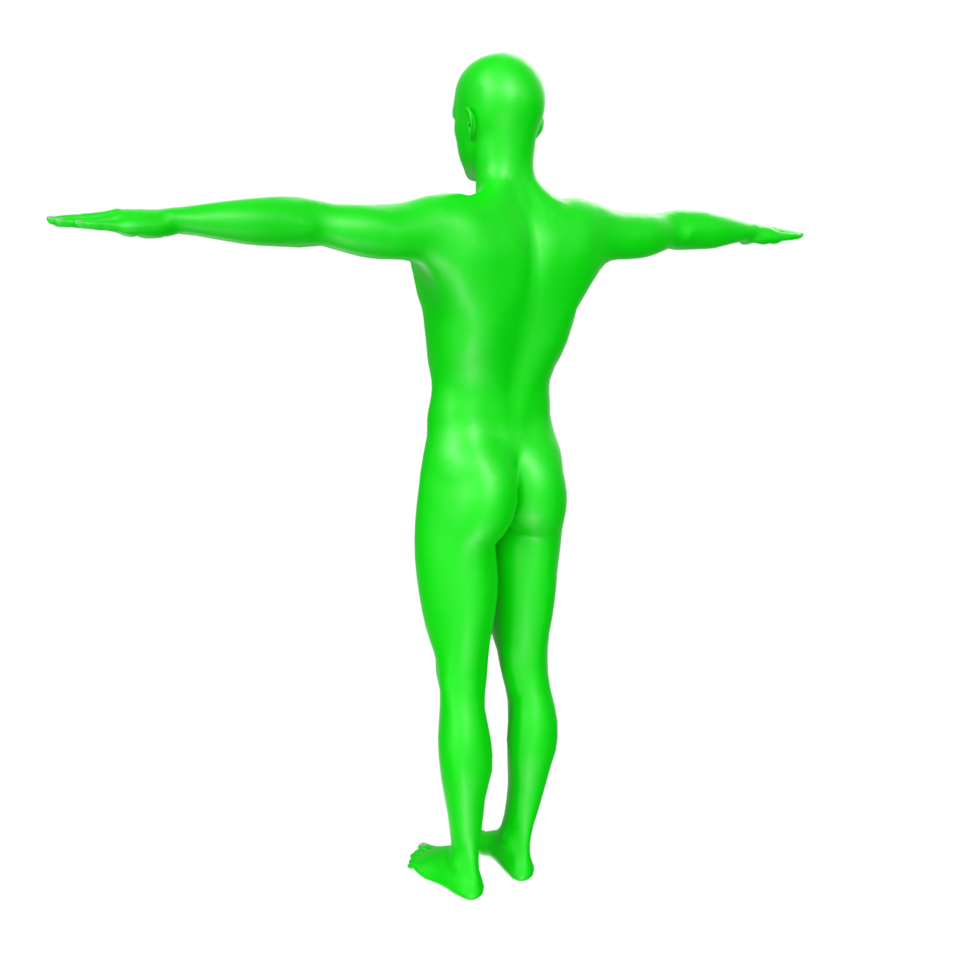 body anatomy isolated on background png