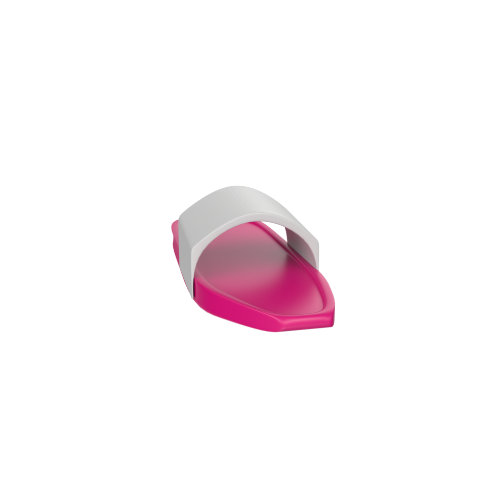 Slipper isolated on transparent background png