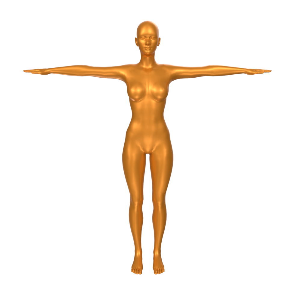 Female Basemesh isolated on transparent png