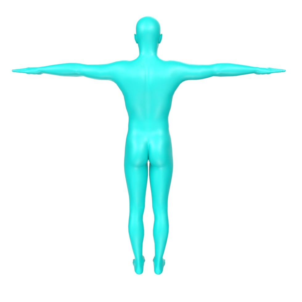 body anatomy isolated on background png