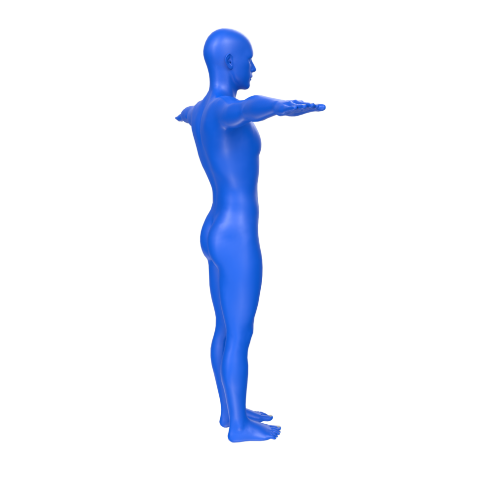 body anatomy isolated on background png