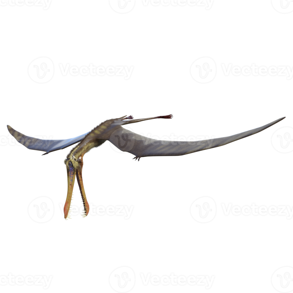 dinossauro anhanguera isolado render 3d png