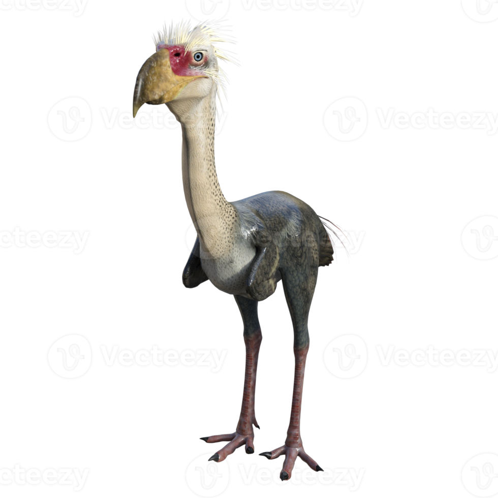 phorusrhacos dinosaure isolé rendu 3d png