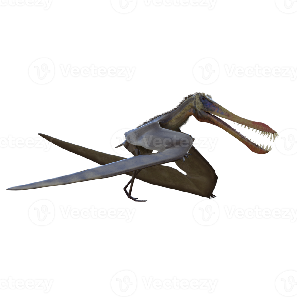 anhanguera dinosaurie isolerat 3d framställa png