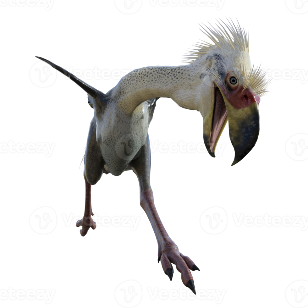 Phorusrhacos isolated dinosaur 3d render png