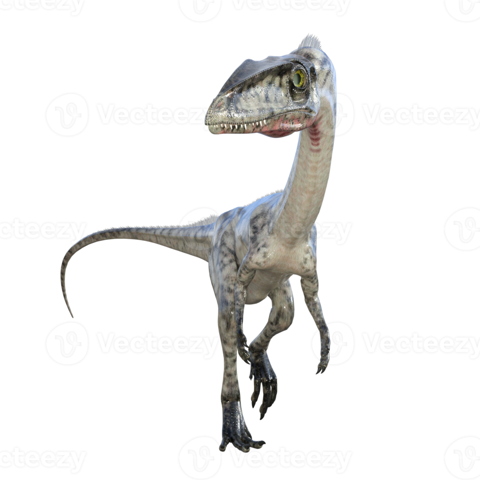 coelophysis dinosaurio aislado 3d hacer png