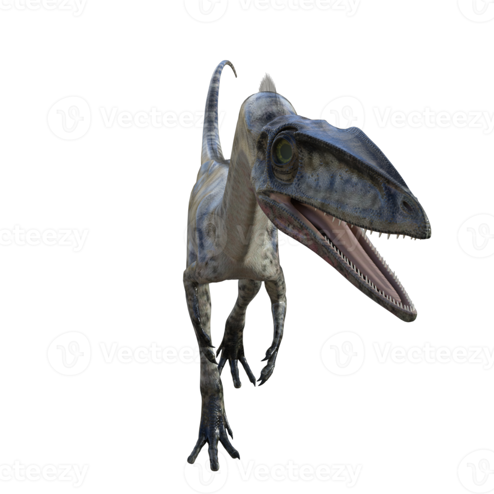 coelofisi dinosauro isolato 3d rendere png