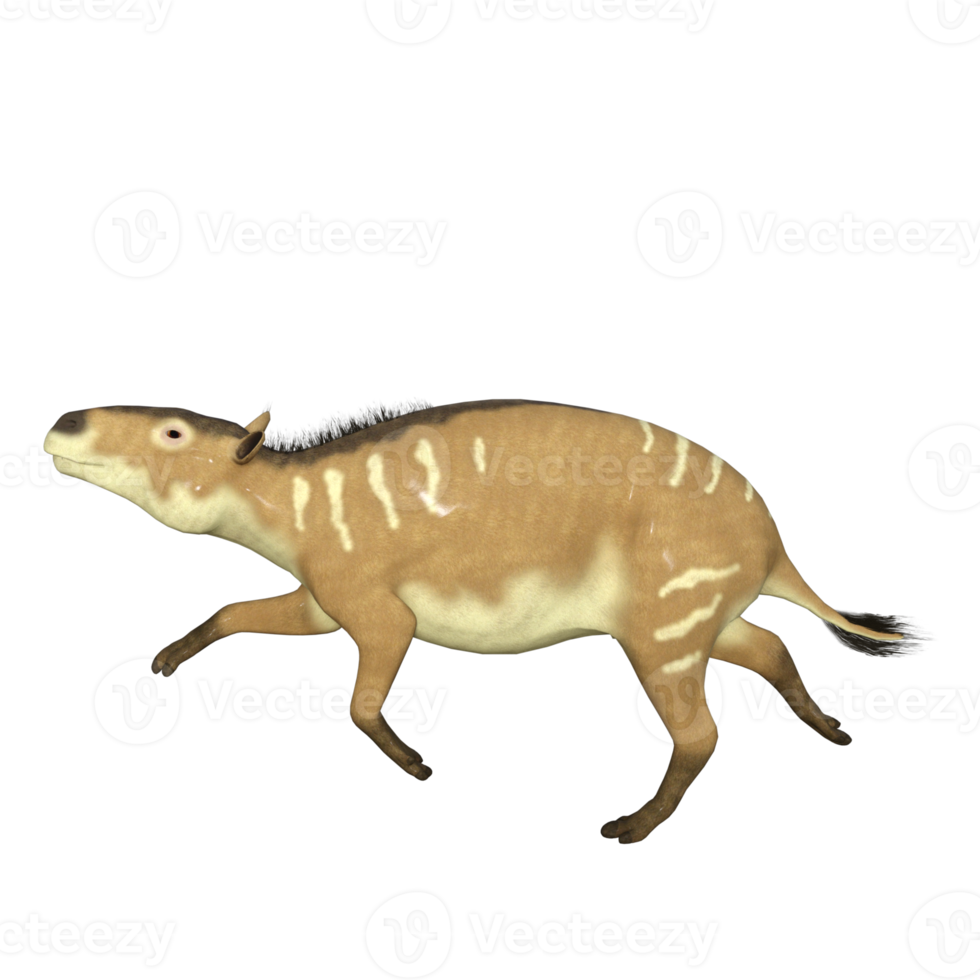 Eurohippus is the herbivorous forerunner of the horse that lived in the Eocene Period in tropical jungles of Europe. png