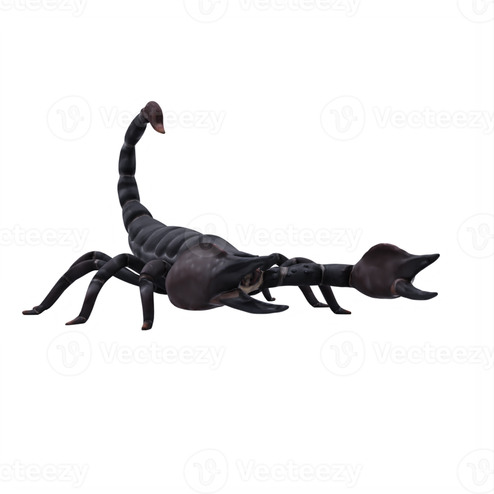 3d SCORPION isolated png