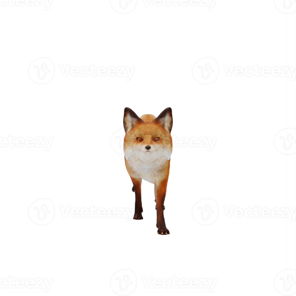 3d Fox isolated png