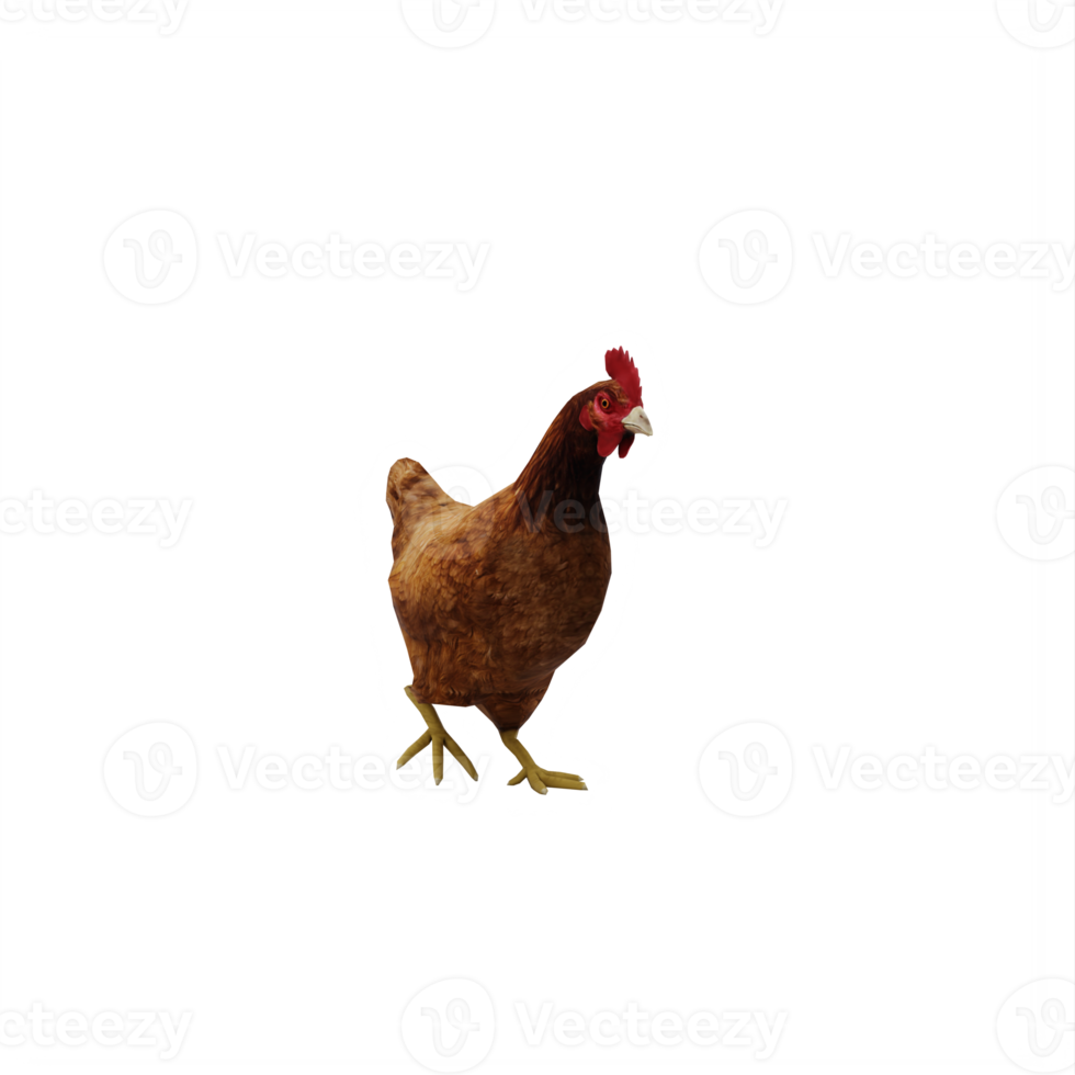 3D-Huhn isoliert png