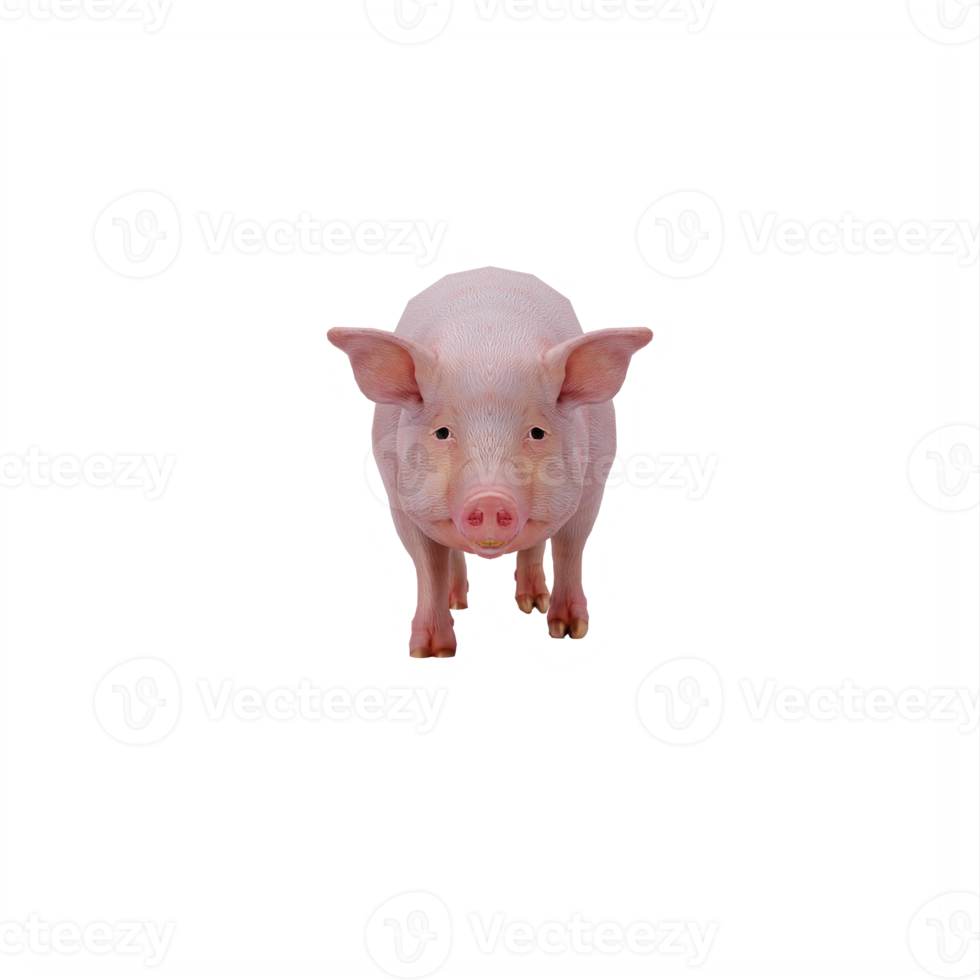 cochon 3d isolé png