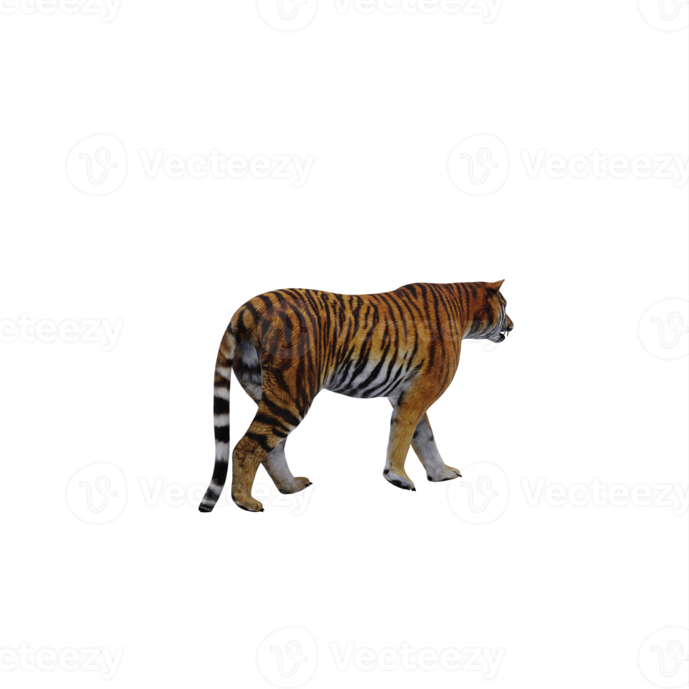 tigre 3d isolé png