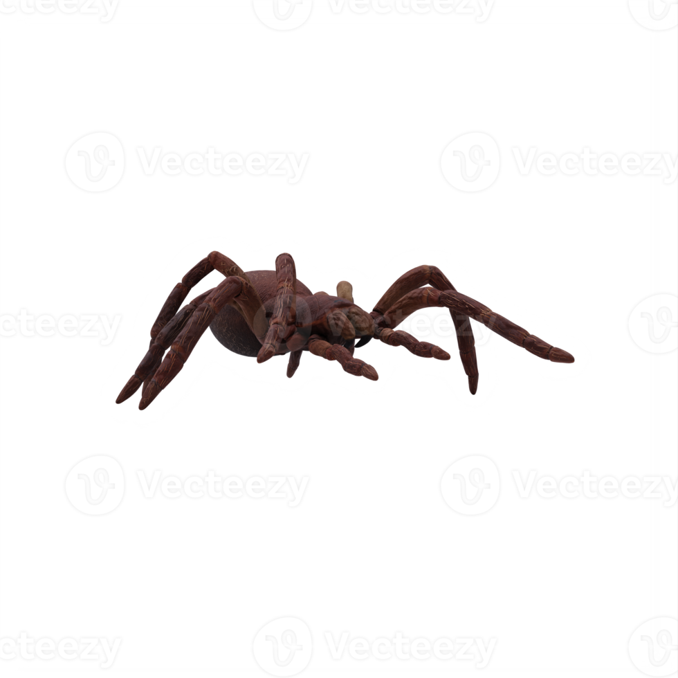 Goliath vogeleter tarantula theraphosa blondi png