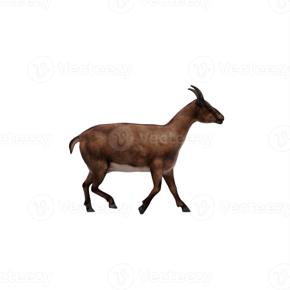 3d goat isolated png