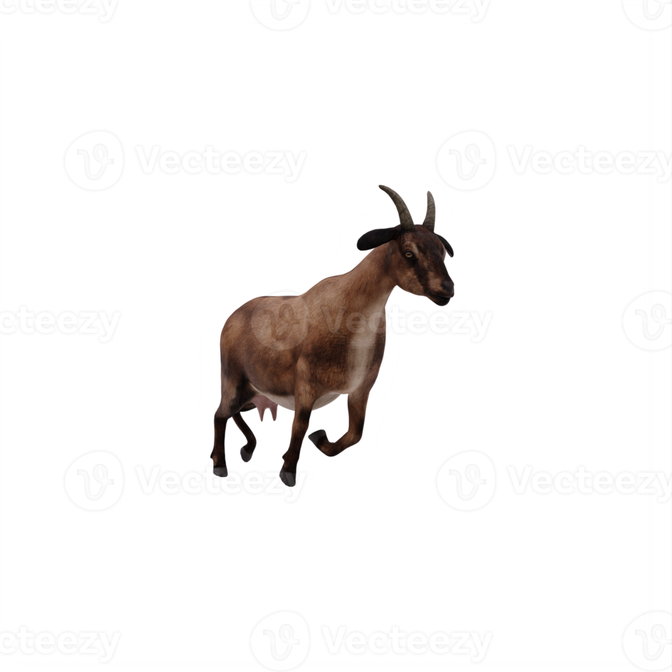 3d goat isolated png