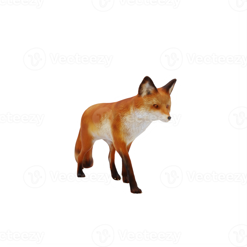 3d Fox isolated png