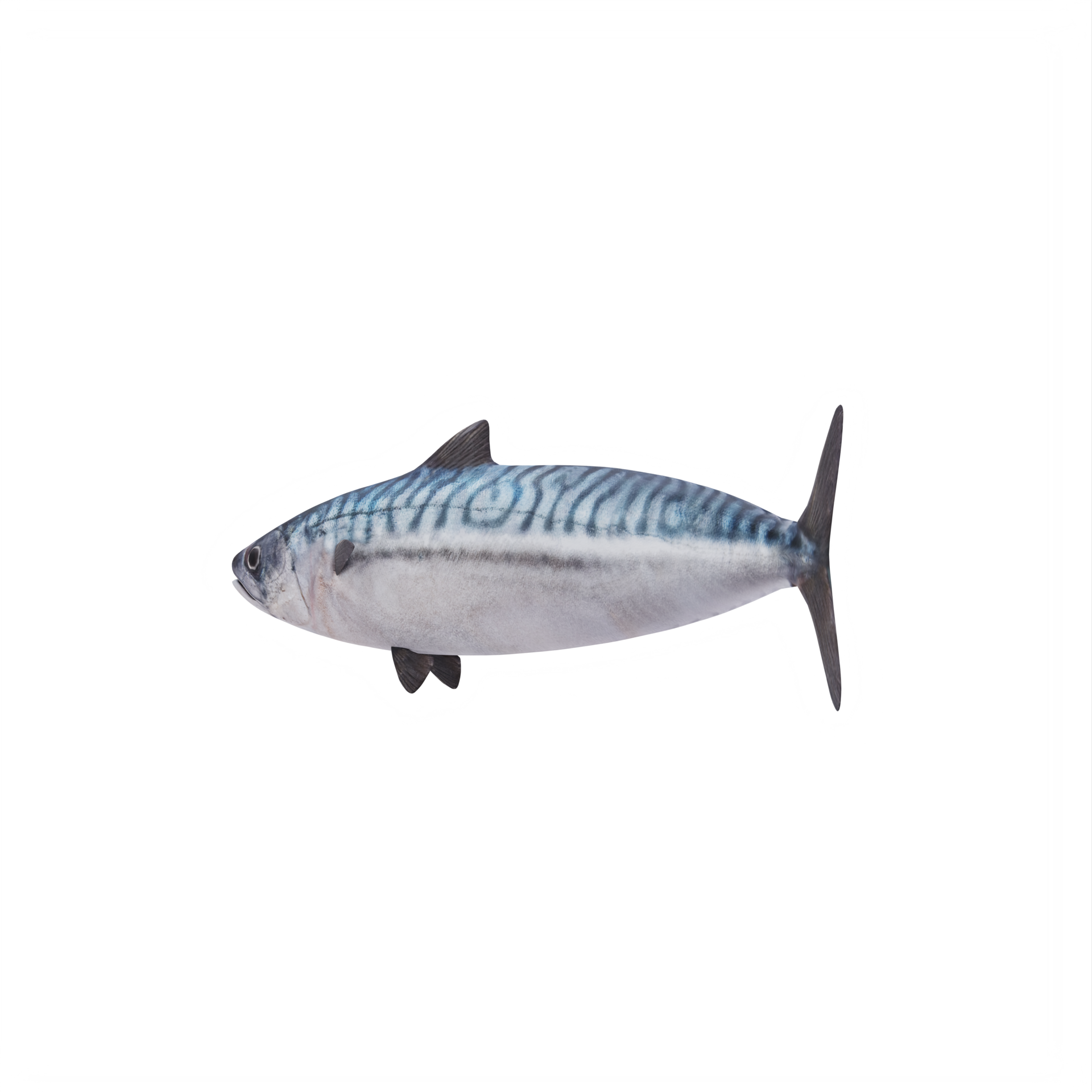 3D Makrelenfisch 18875913 PNG
