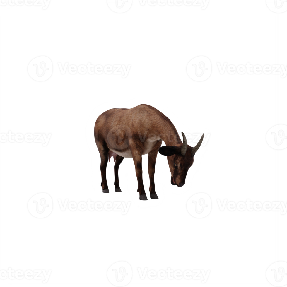 3d goat isolated png