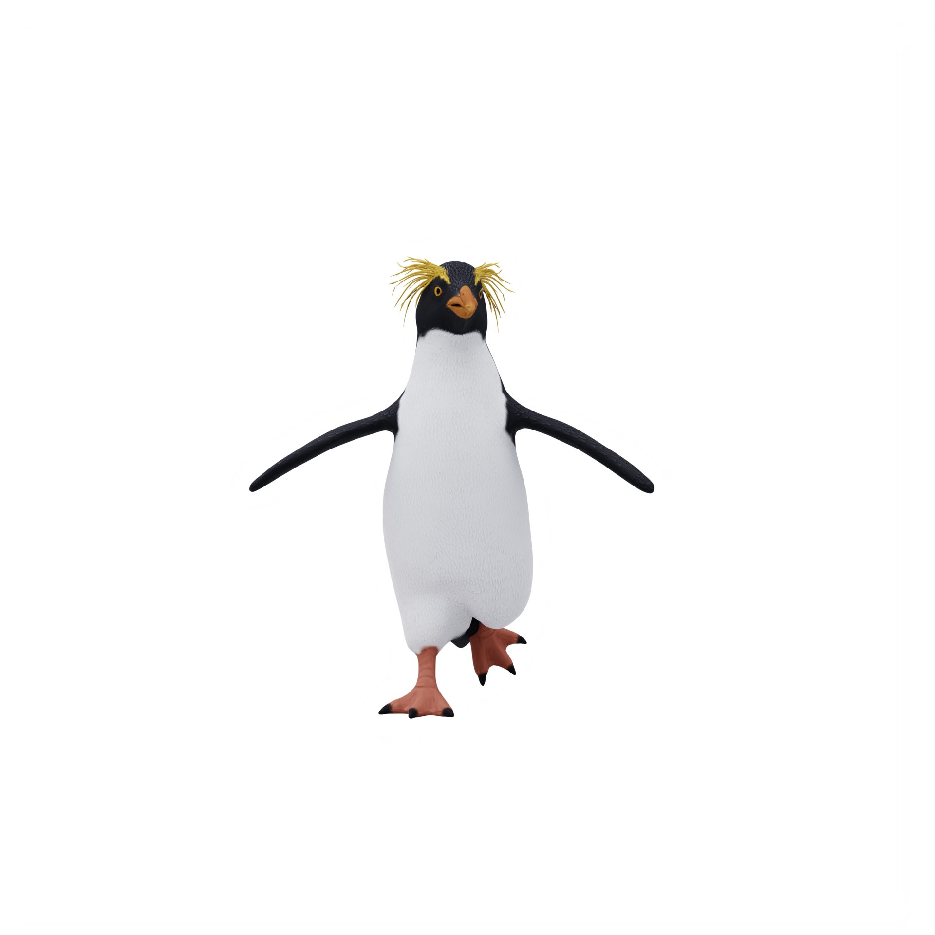 Erect Crested Penguin Isolated 18875924 Png